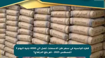 قفزة قياسية في سعر طن الأسمنت تصل إلى 4000 جنيه اليوم 3 أغسطس 2025 – كم بلغ الارتفاع؟